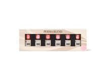 PERMA BLEND Permanent Make-Up Mix Set READY SET GO 6x14ml