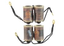 Wired coils with Buddha motif capacitor | Sunskin
