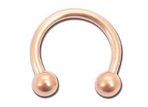 Pink Steel Horseshoe with Balls | Itc