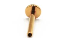 Labret Titanium PVD Gold Internal Sterile Plate 4 mm | Itc