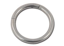 Titanium Hinge Ring | Itc