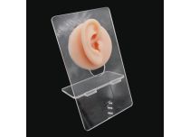 Silicone ear display
