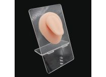 Silicone tongue display
