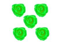 Set of 5 Acrylic Roses | Itc