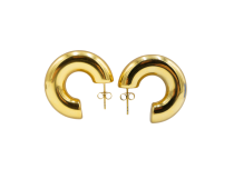 Pair of golden earrings