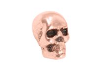 Accessory Steel Gilded Rose screws skull pattern | Itc