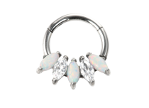 Titanium hinge ring with marquise pattern| Itc