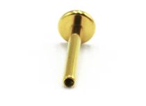 Labret Titanium PVD Gold Internal Sterile Plate 4 mm | Itc