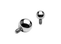 Steel Ball Internal Screw | Itc